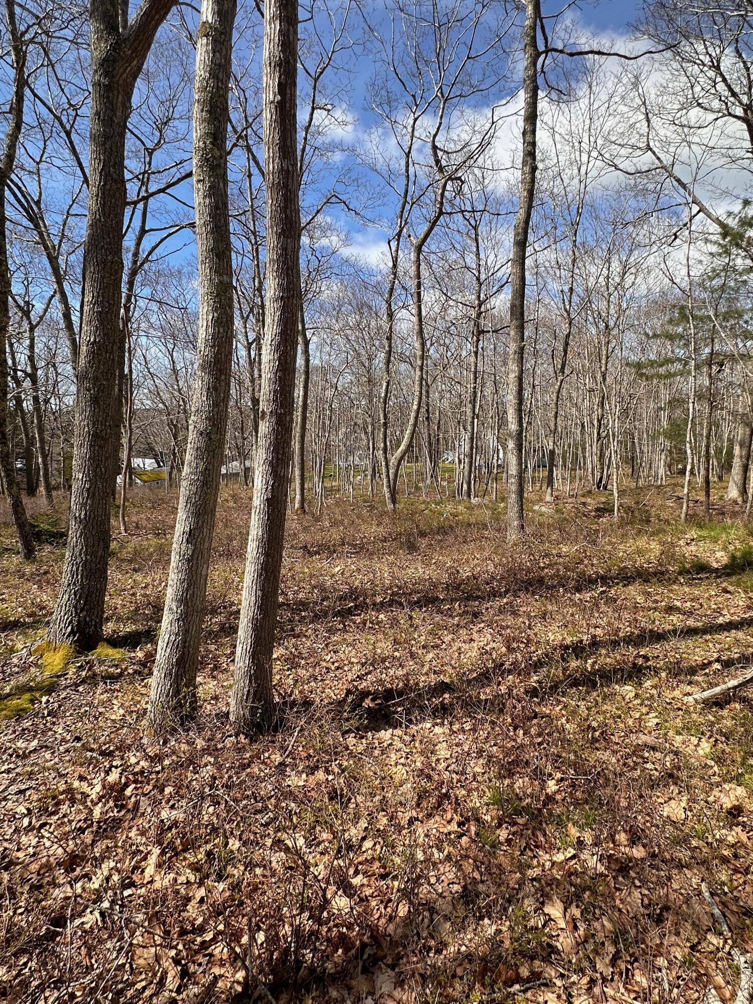30 Gaffney Hill Road New Harbor, ME 04554 - Photo 7 of 10 IMG_6460