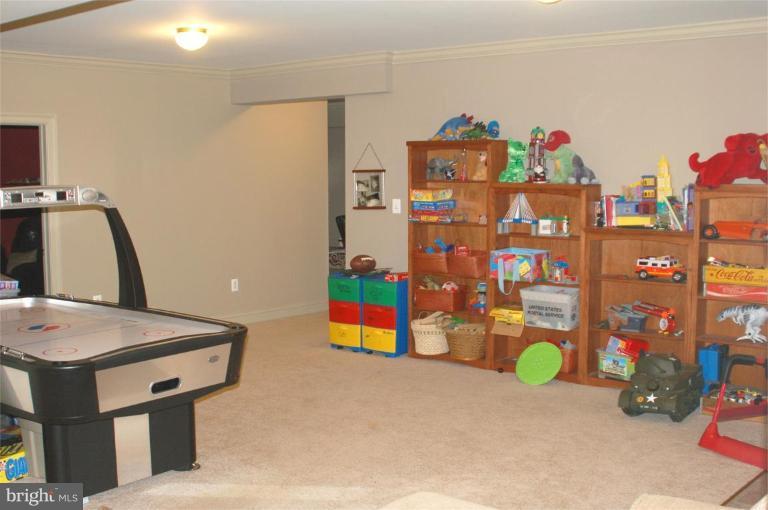 16351 Black Hill Road Rixeyville, VA 22737 - Photo 22 of 28 Recreation Room #3