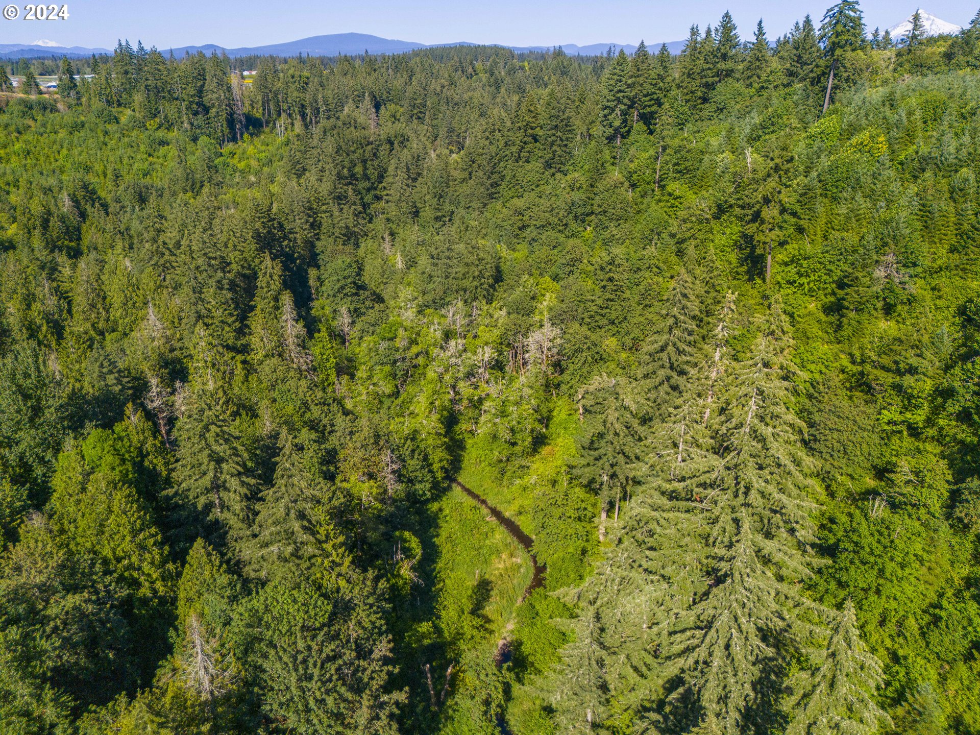 29990 Southeast Knox Road Boring, OR 97009 - Photo 21 of 41 a view of a lush green forest with trees and some houses
