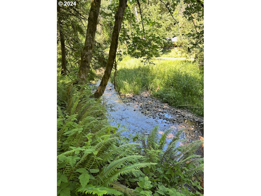 29990 Southeast Knox Road Boring, OR 97009 - Photo 33 of 41 a view of a yard with plants and a bench