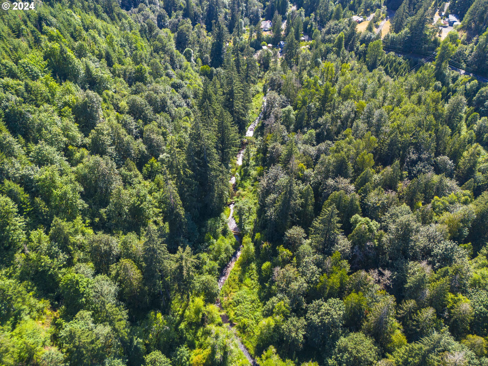 29990 Southeast Knox Road Boring, OR 97009 - Photo 6 of 41 a view of a forest with a tree