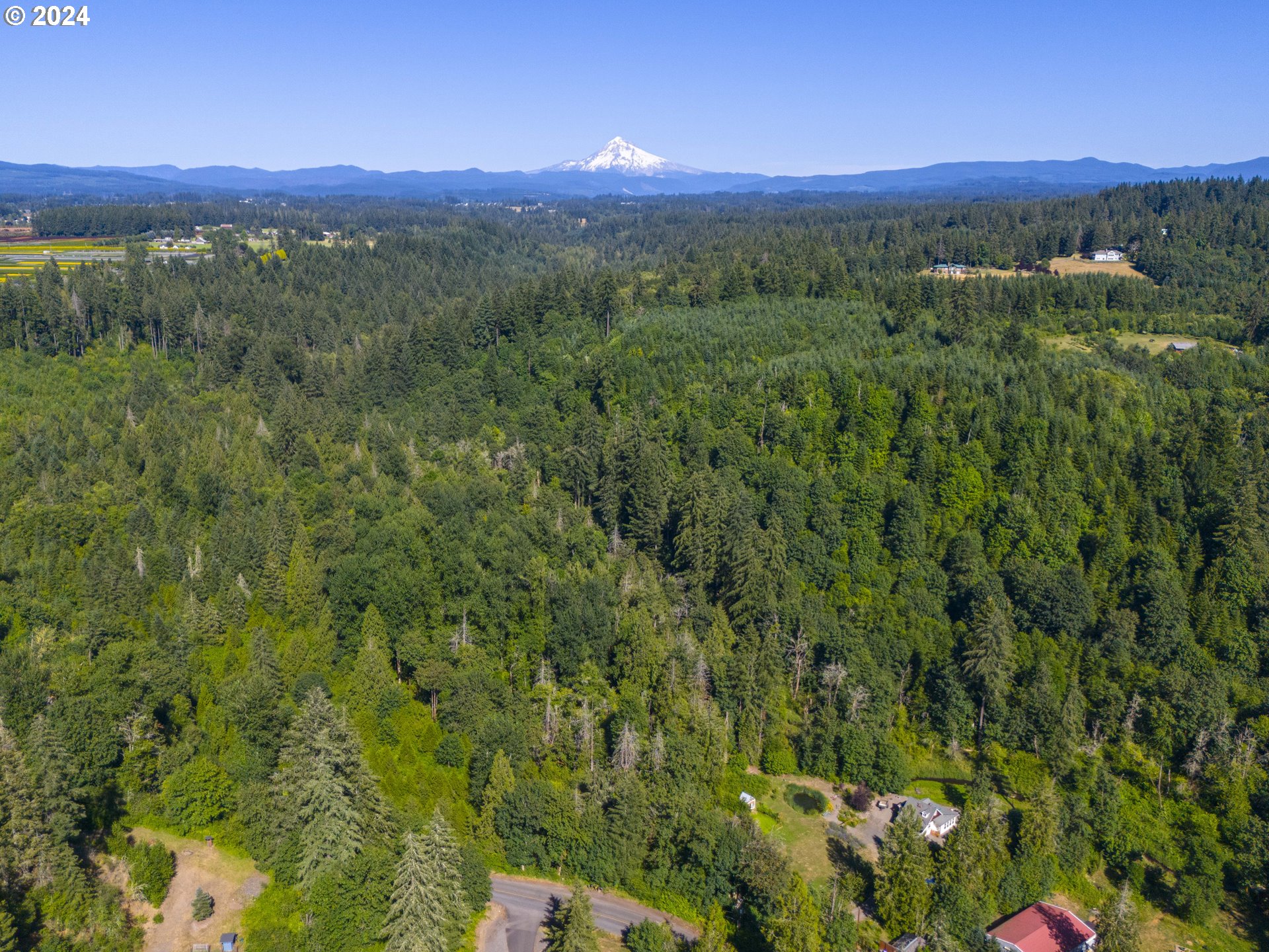 29990 Southeast Knox Road Boring, OR 97009 - Photo 7 of 41 a view of a city with lush green forest