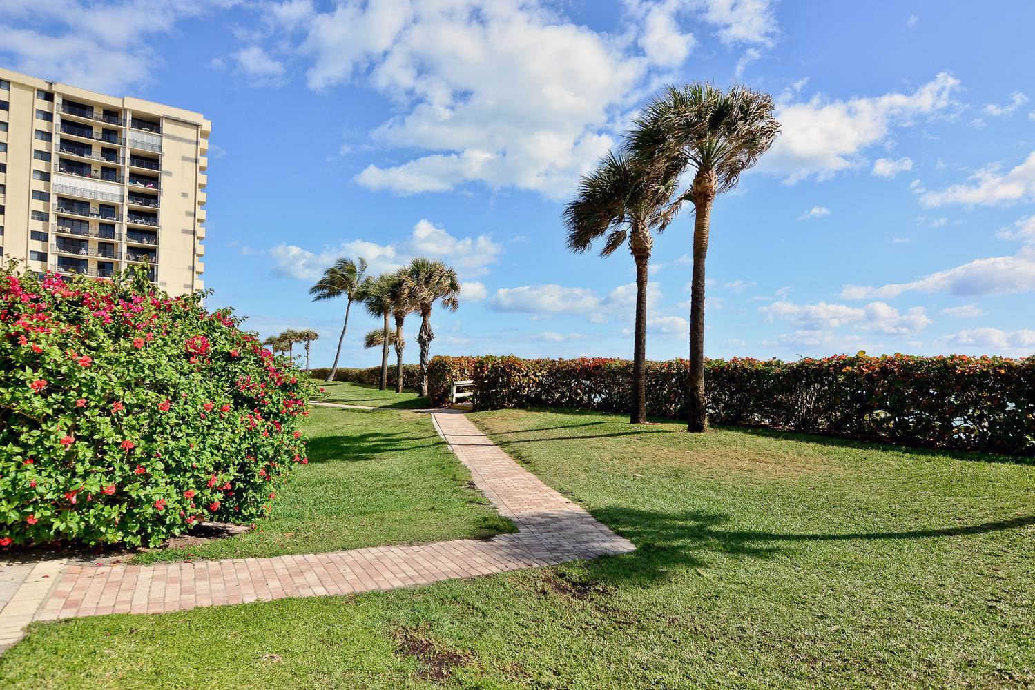 200 Ocean Trail Way, Unit 1009 Jupiter, FL 33477 - Photo 28 of 36 a view of a garden with a flower garden