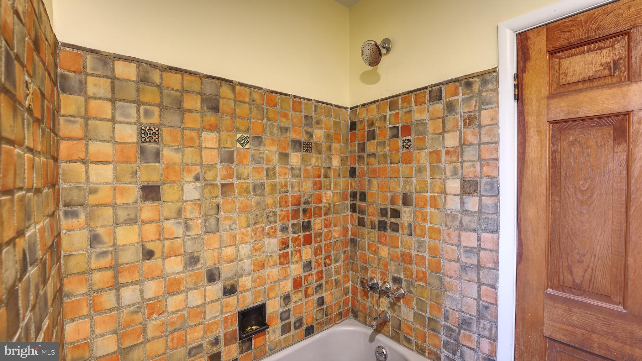 53 Iron Bridge Road Pipersville, PA 18947 - Photo 19 of 28 a bathroom with a shower