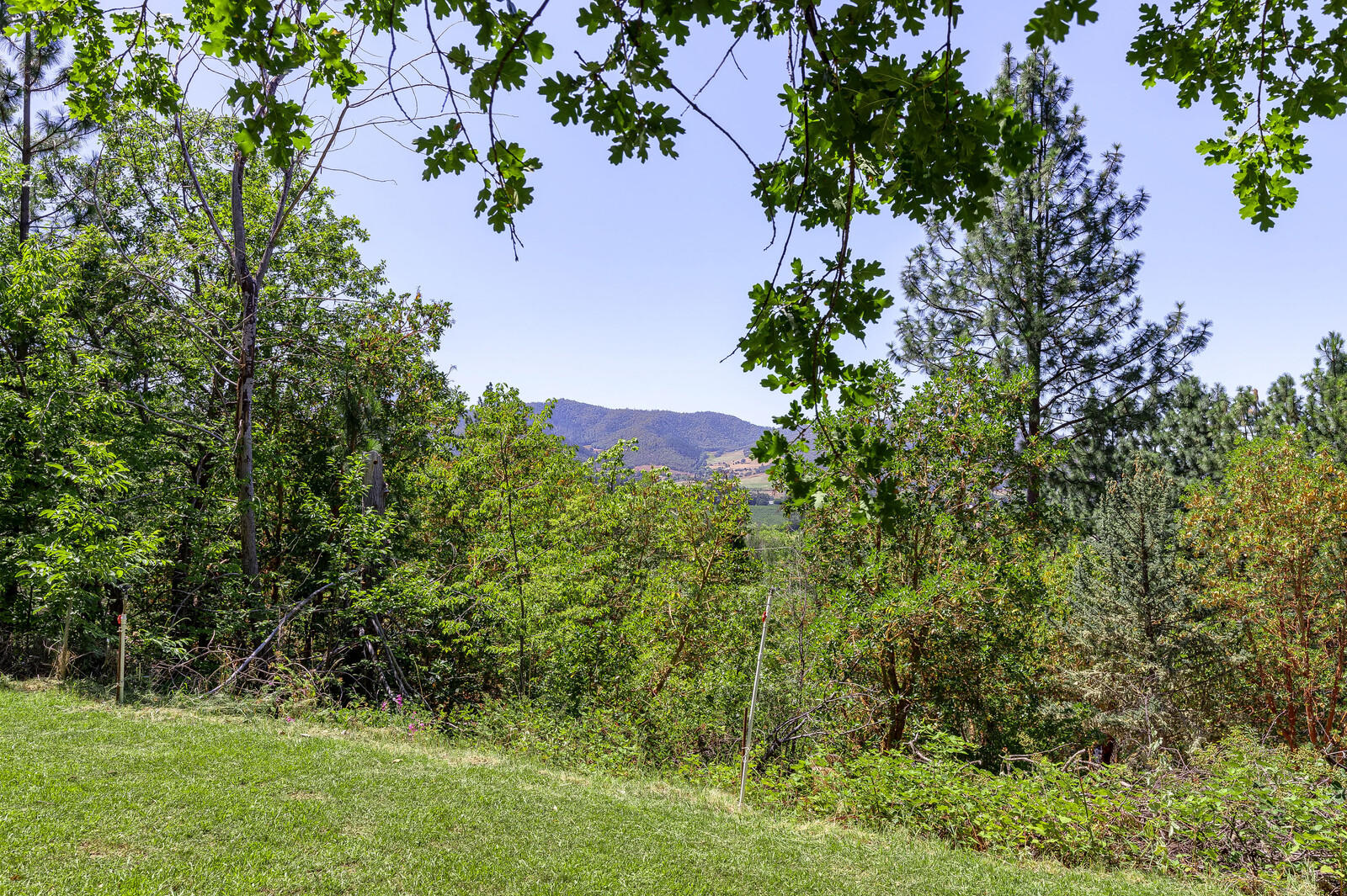7075 Rapp Lane Talent, OR 97540 - Photo 48 of 54 Lower Lawn Area
