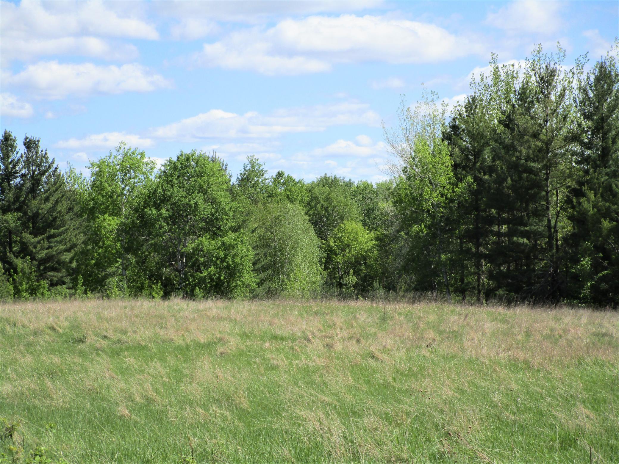 Lot 2 85th Street Frederic, WI 54837 - Photo 1 of 1 Gallery Image 1