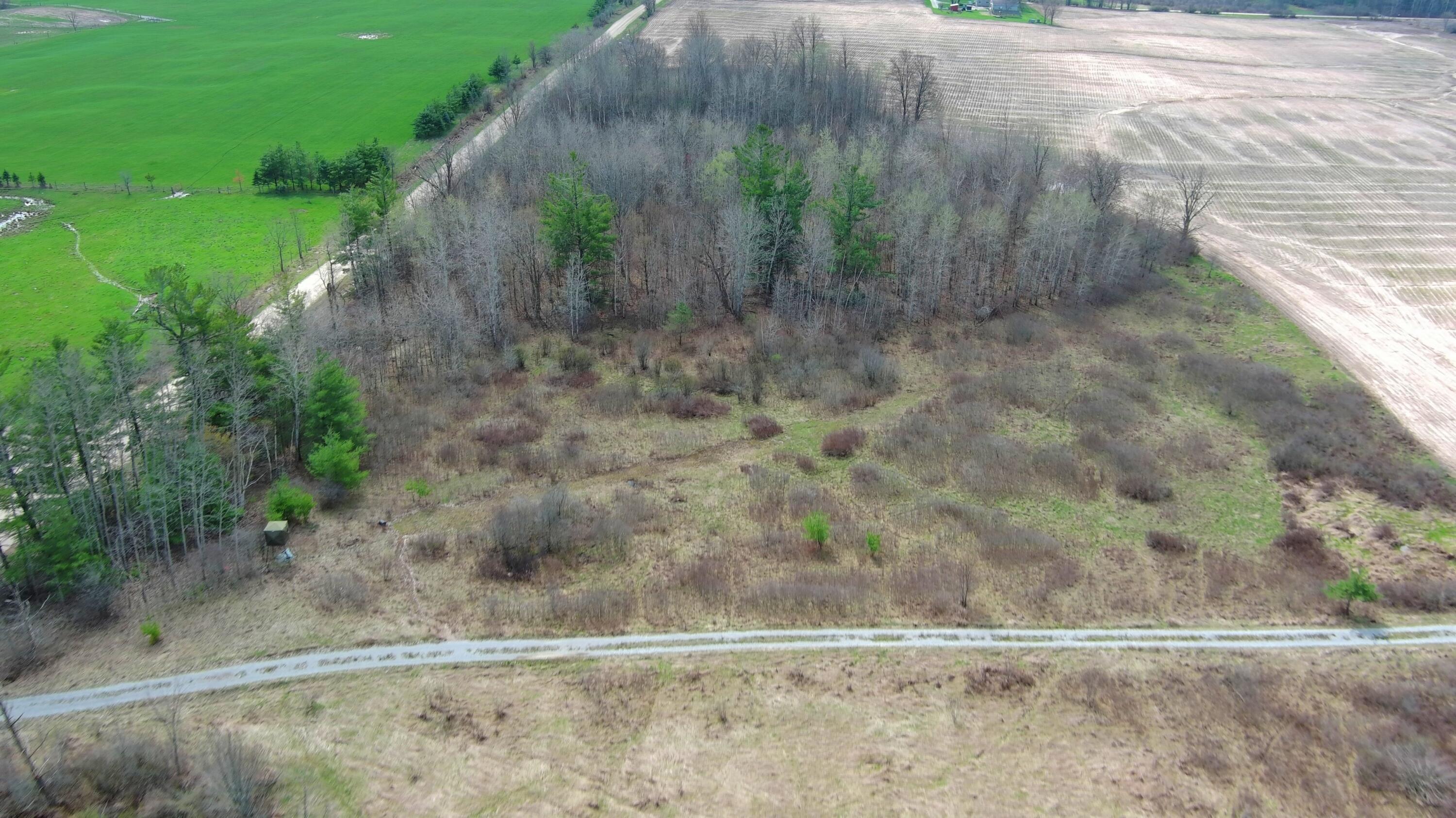 V/l Clareola Road Marion, MI 49665 - Photo 9 of 20 CE Easement