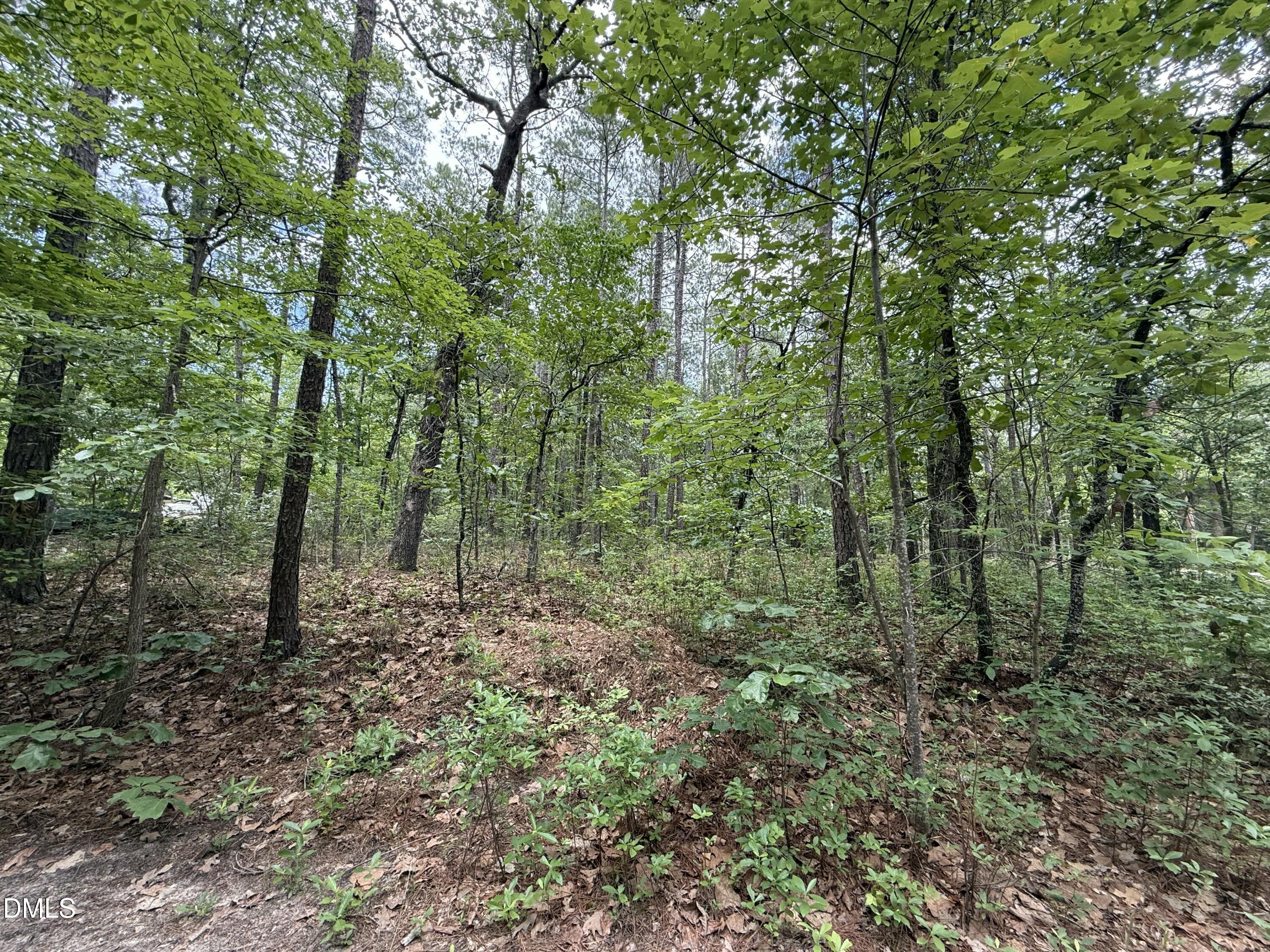 0 Elfman Drive Spring Lake, NC 28390 - Photo 9 of 40 a view of a lush green forest