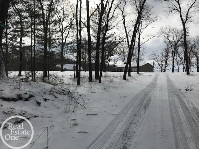 6025 Sand Road Caseville, MI 48725 - Photo 47 of 48