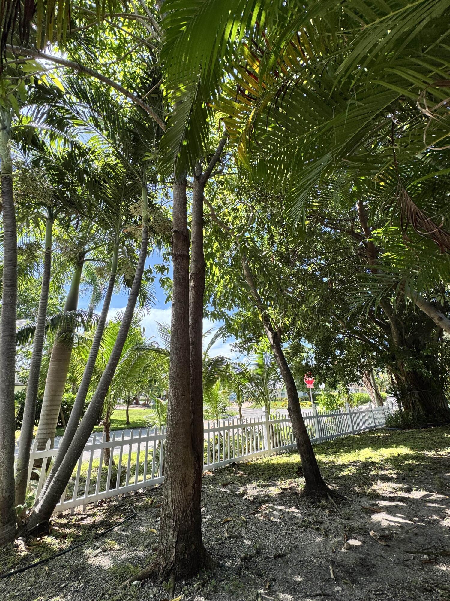 2802 Southwest 4th Street Boynton Beach, FL 33435 - Photo 37 of 42 a view of outdoor space with deck and trees