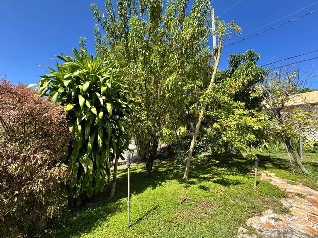 a plant that is in front of a building