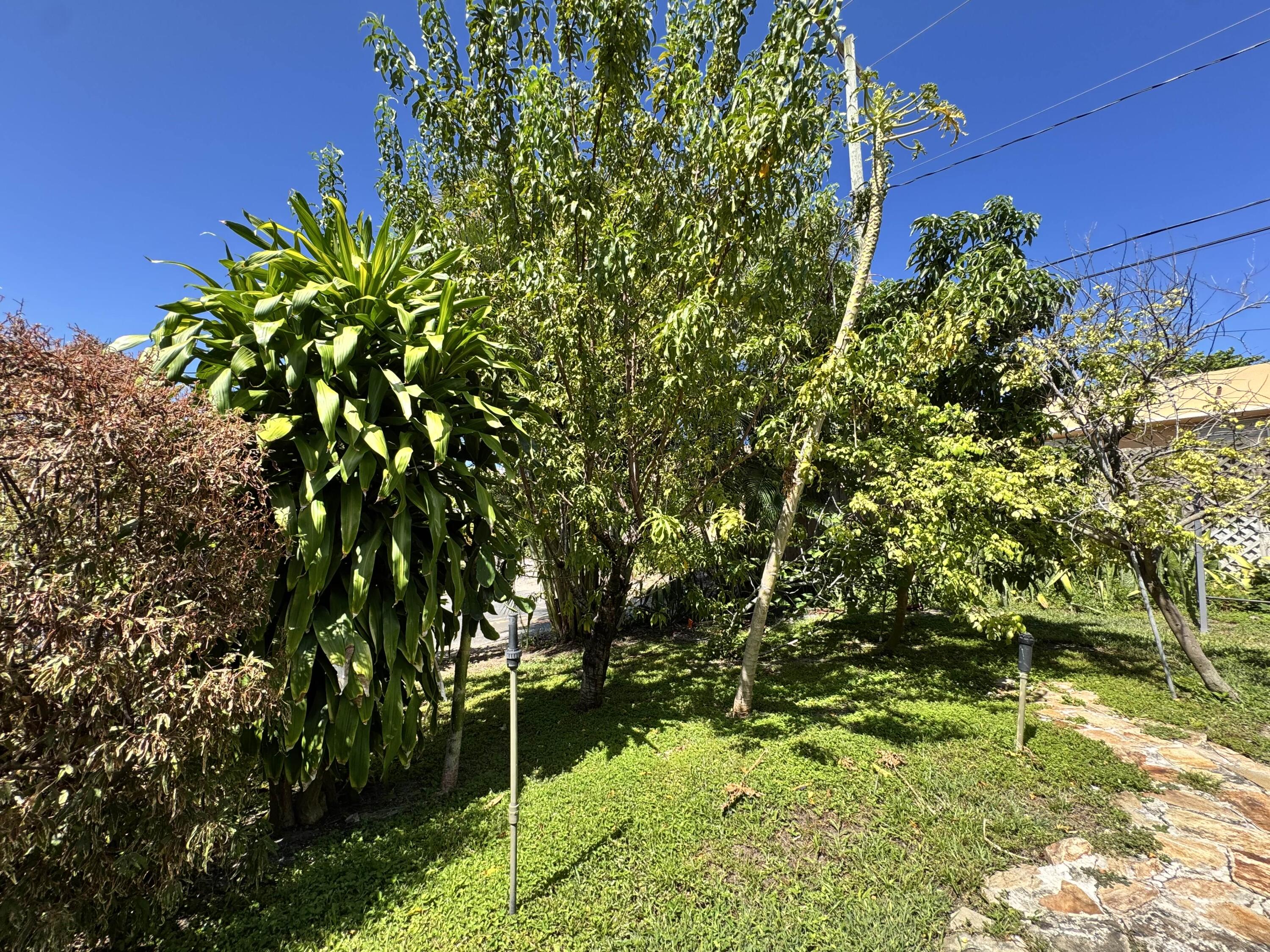 2802 Southwest 4th Street Boynton Beach, FL 33435 - Photo 39 of 42 a view of a garden