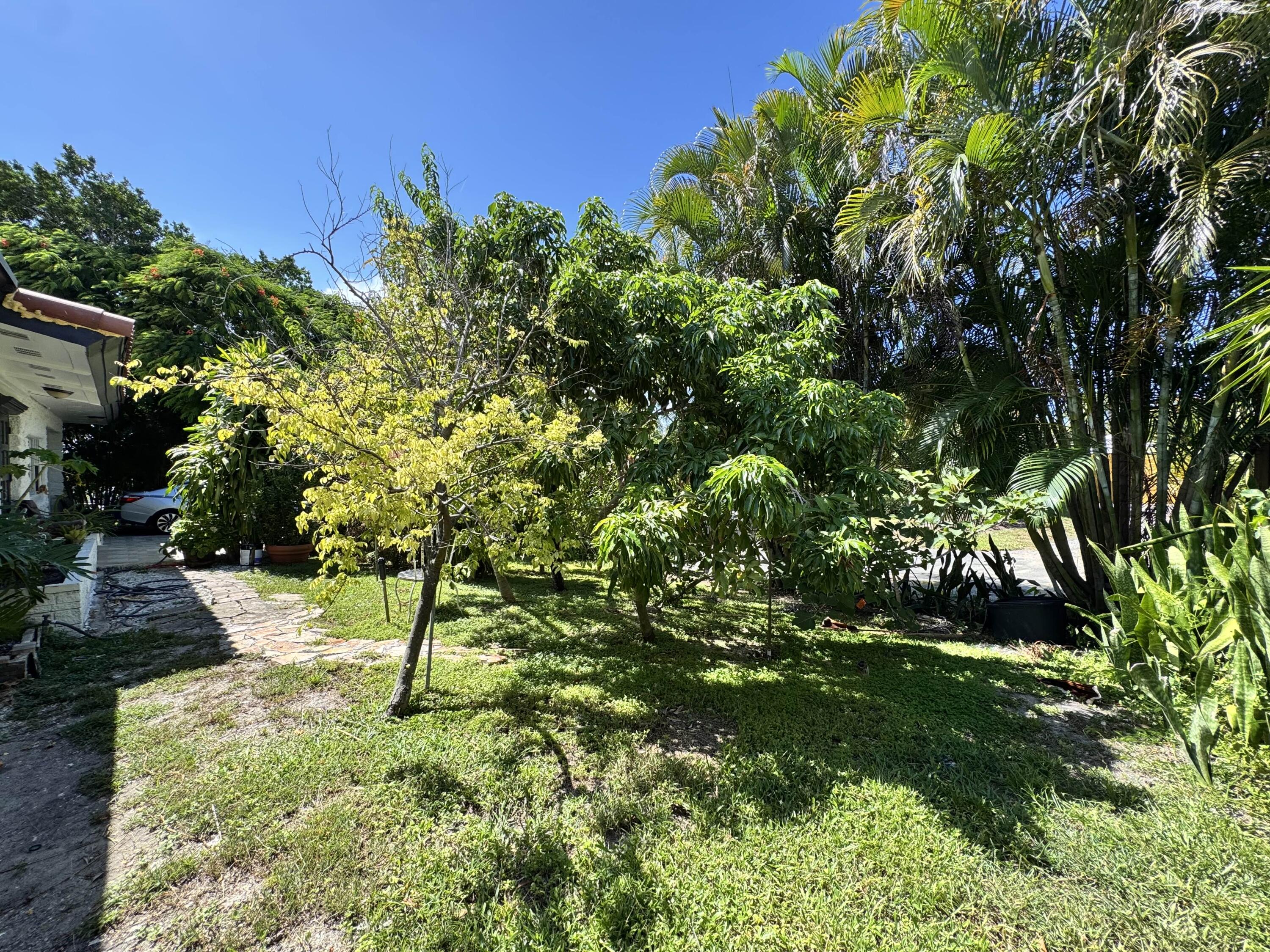2802 Southwest 4th Street Boynton Beach, FL 33435 - Photo 40 of 42 a view of yard