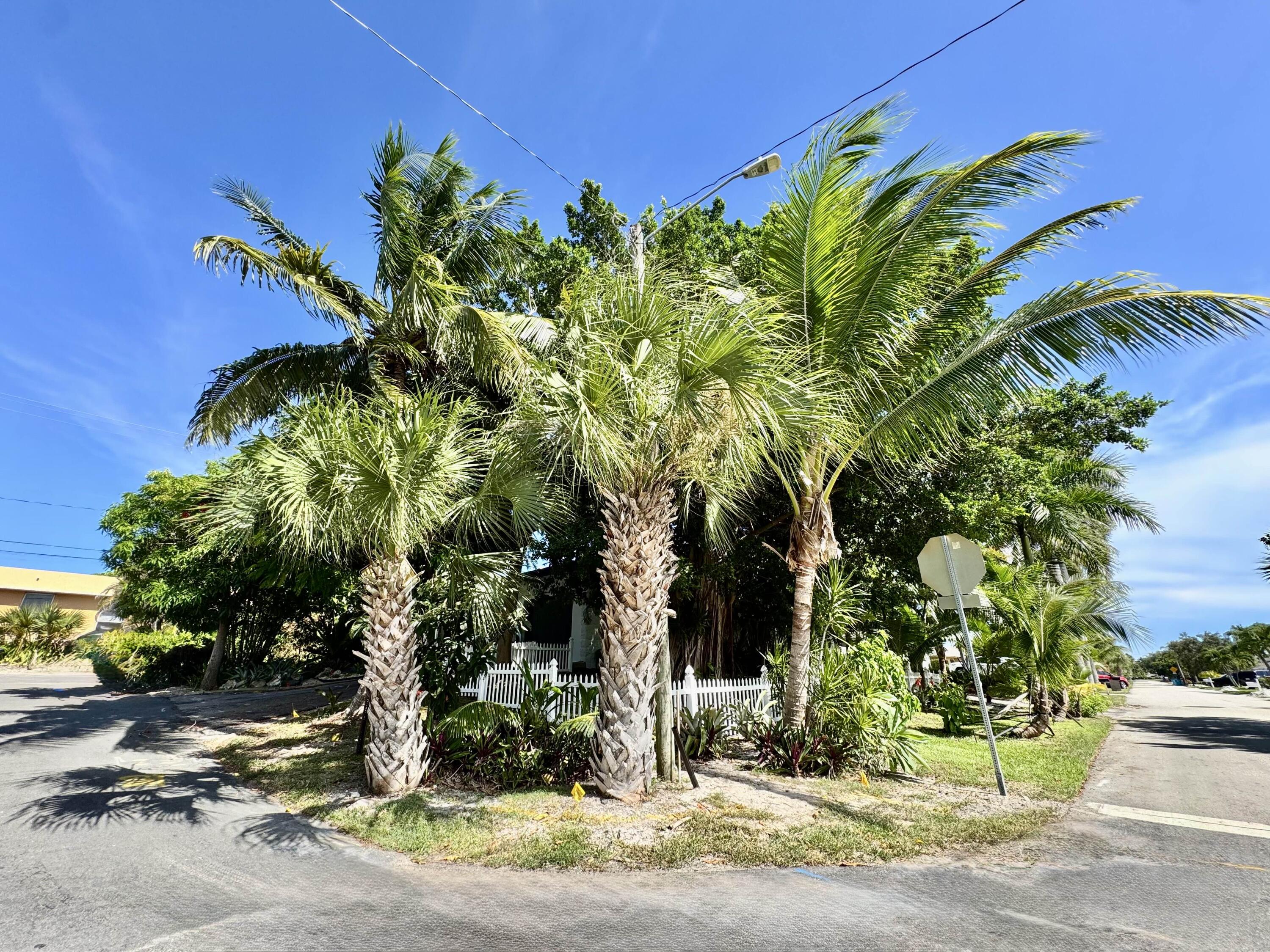 2802 Southwest 4th Street Boynton Beach, FL 33435 - Photo 41 of 42 a plant that is in front of a building