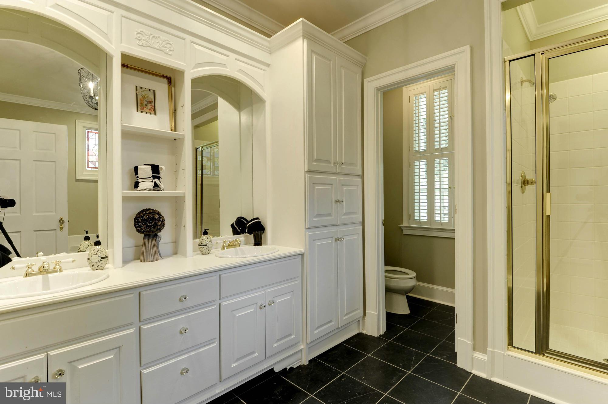 7414 Dulany Drive McLean, VA 22101 - Photo 15 of 30 a bathroom with a toilet a sink and a mirror
