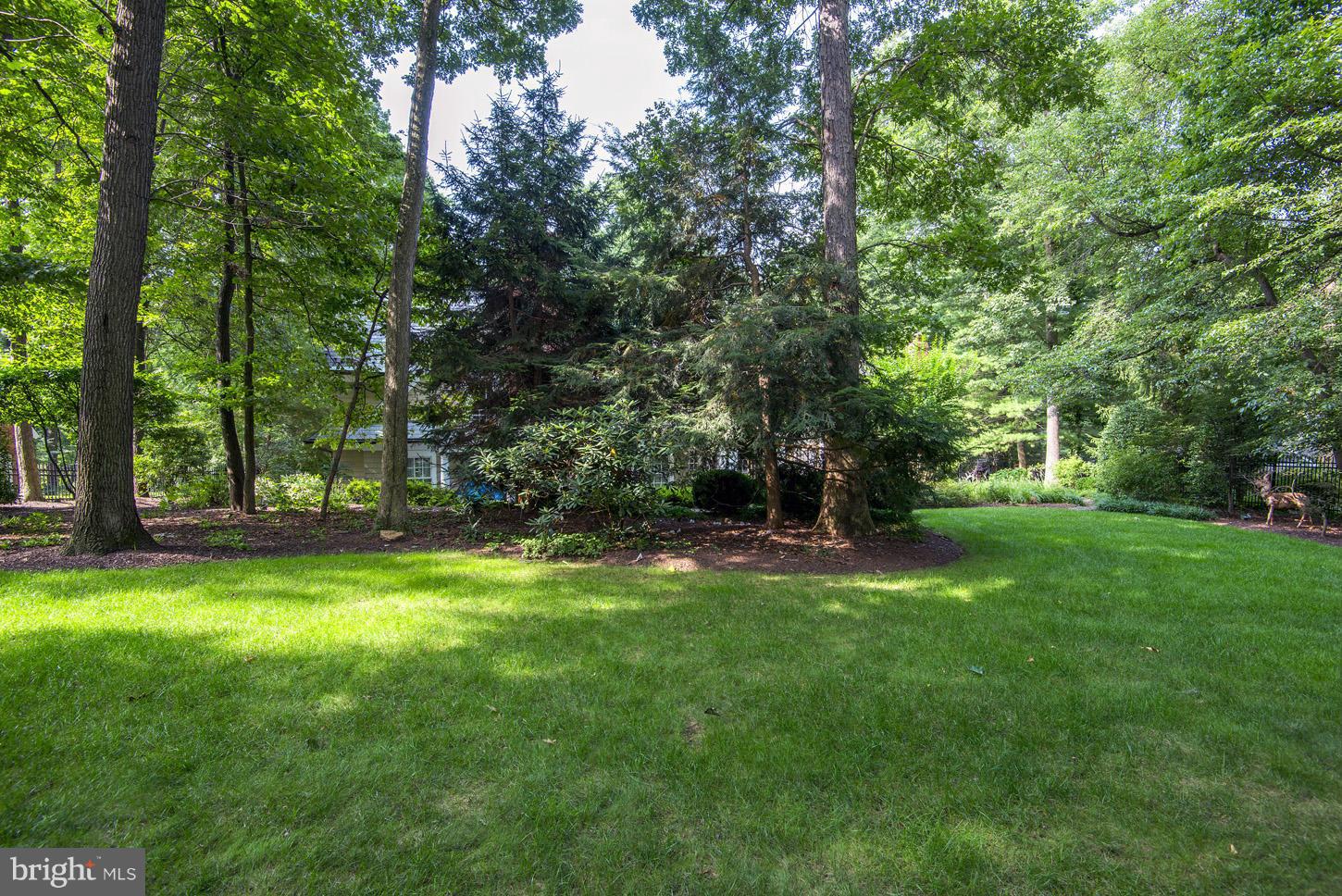7414 Dulany Drive McLean, VA 22101 - Photo 26 of 30 a view of a trees in a yard