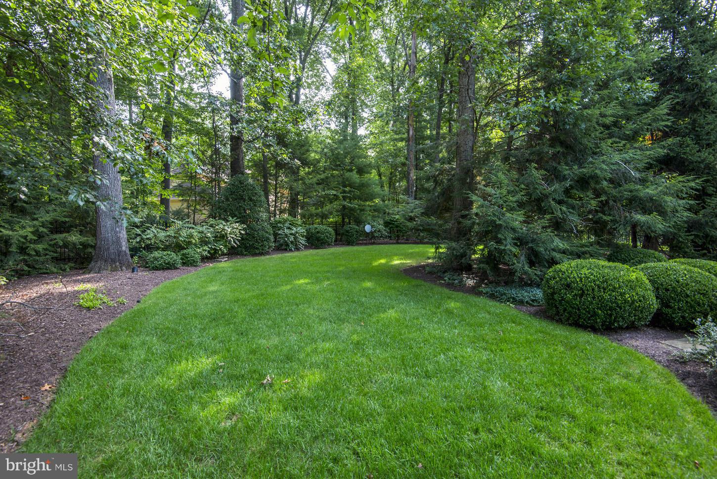 7414 Dulany Drive McLean, VA 22101 - Photo 27 of 30 a view of a garden with a trees