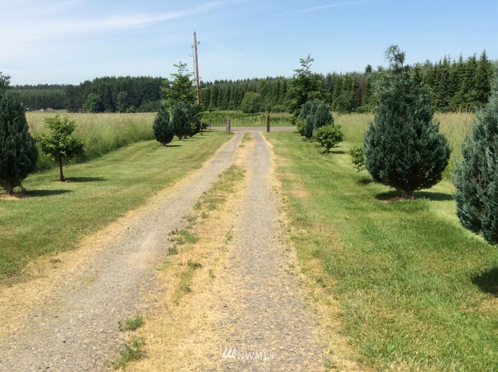 303 South Military Road Winlock, WA 98596 - Photo 20 of 25