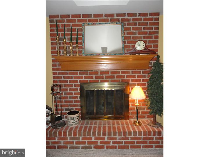 2 Ridgeway Circle Birdsboro, PA 19508 - Photo 8 of 25 Fireplace