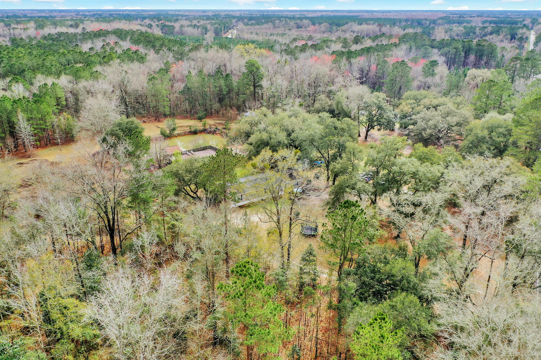 5464 Ritter Road Walterboro, SC 29488 - Photo 22 of 23 Aerial-2