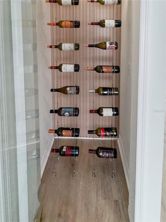 2109 Aitkin Loop Leesburg, FL 34748 - Photo 6 of 33 a view of walk in closet with clothes and shoes