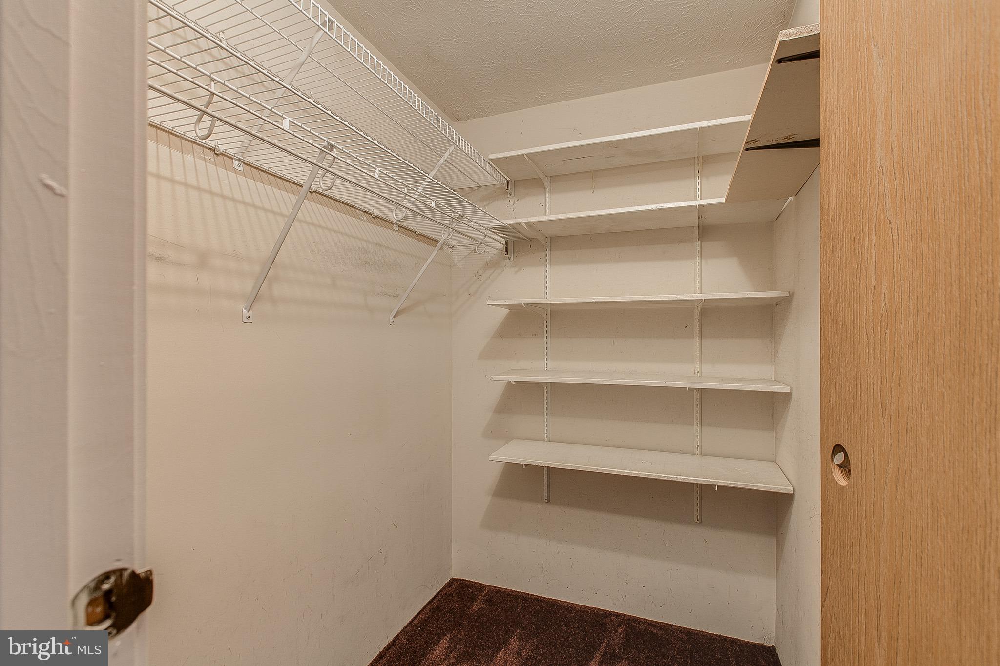 4318 Zircon Road Middletown, MD 21769 - Photo 12 of 36 Walk in closet