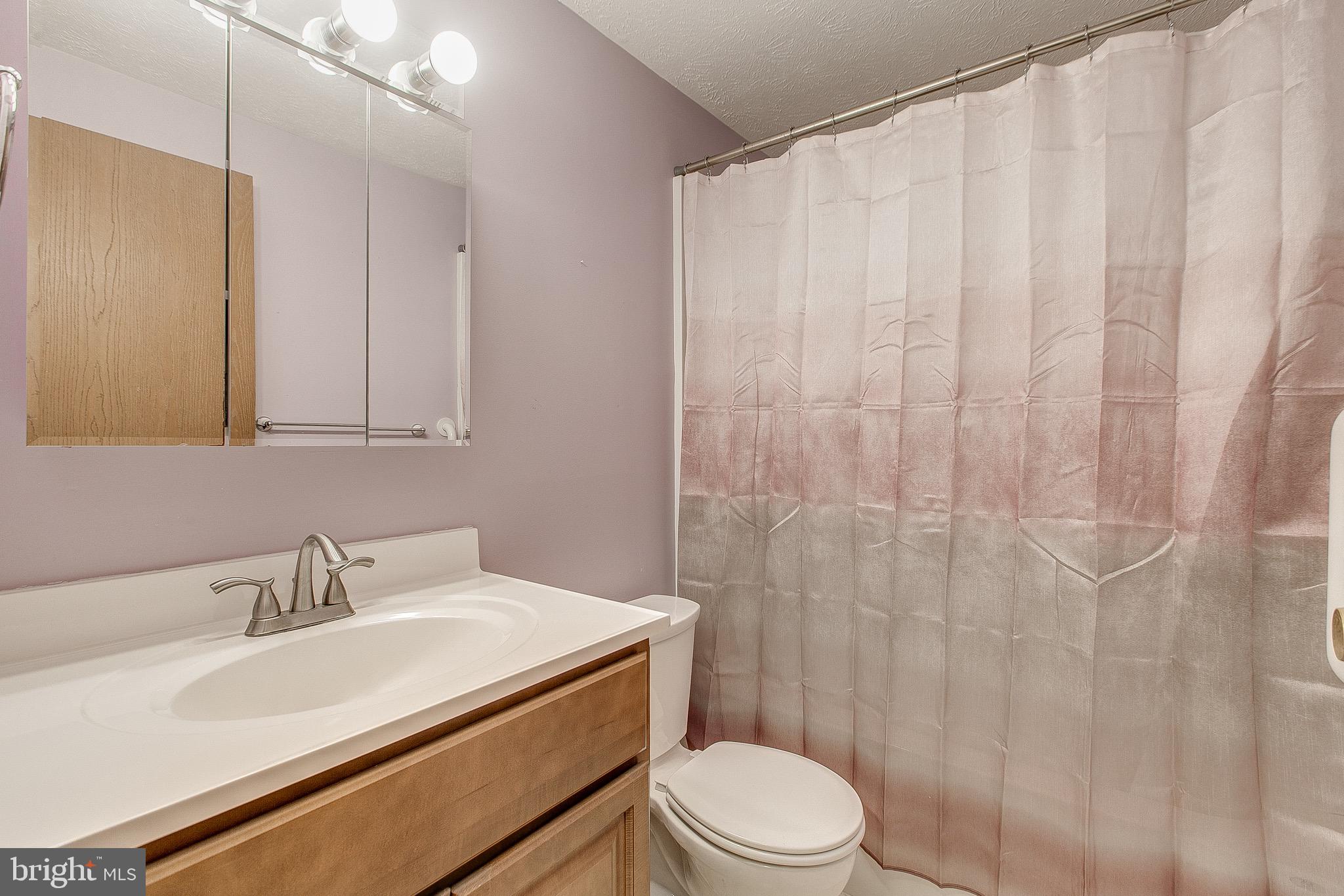 4318 Zircon Road Middletown, MD 21769 - Photo 15 of 36 Updated main level full bath