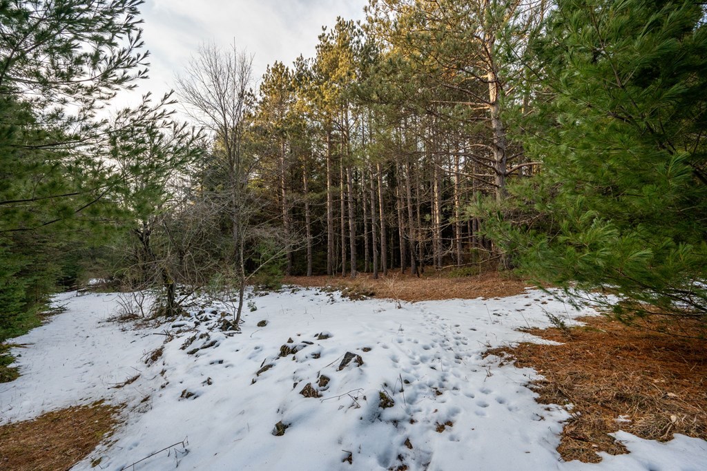 Lot 1 Quarterline Road Fish Creek, WI 54212 - Photo 20 of 21