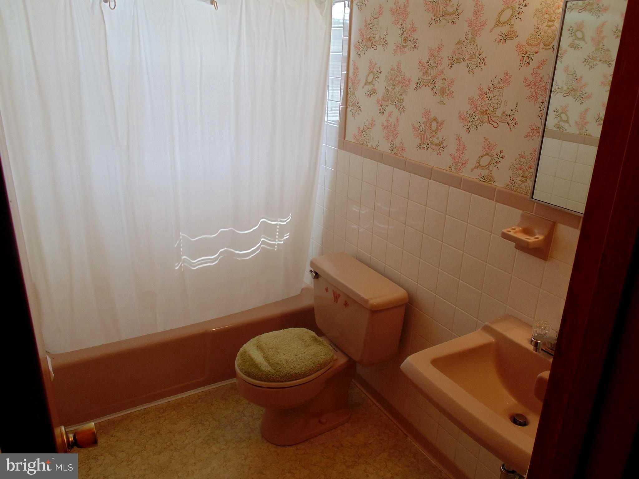 4424 Green Valley Road Monrovia, MD 21770 - Photo 15 of 27 Bath