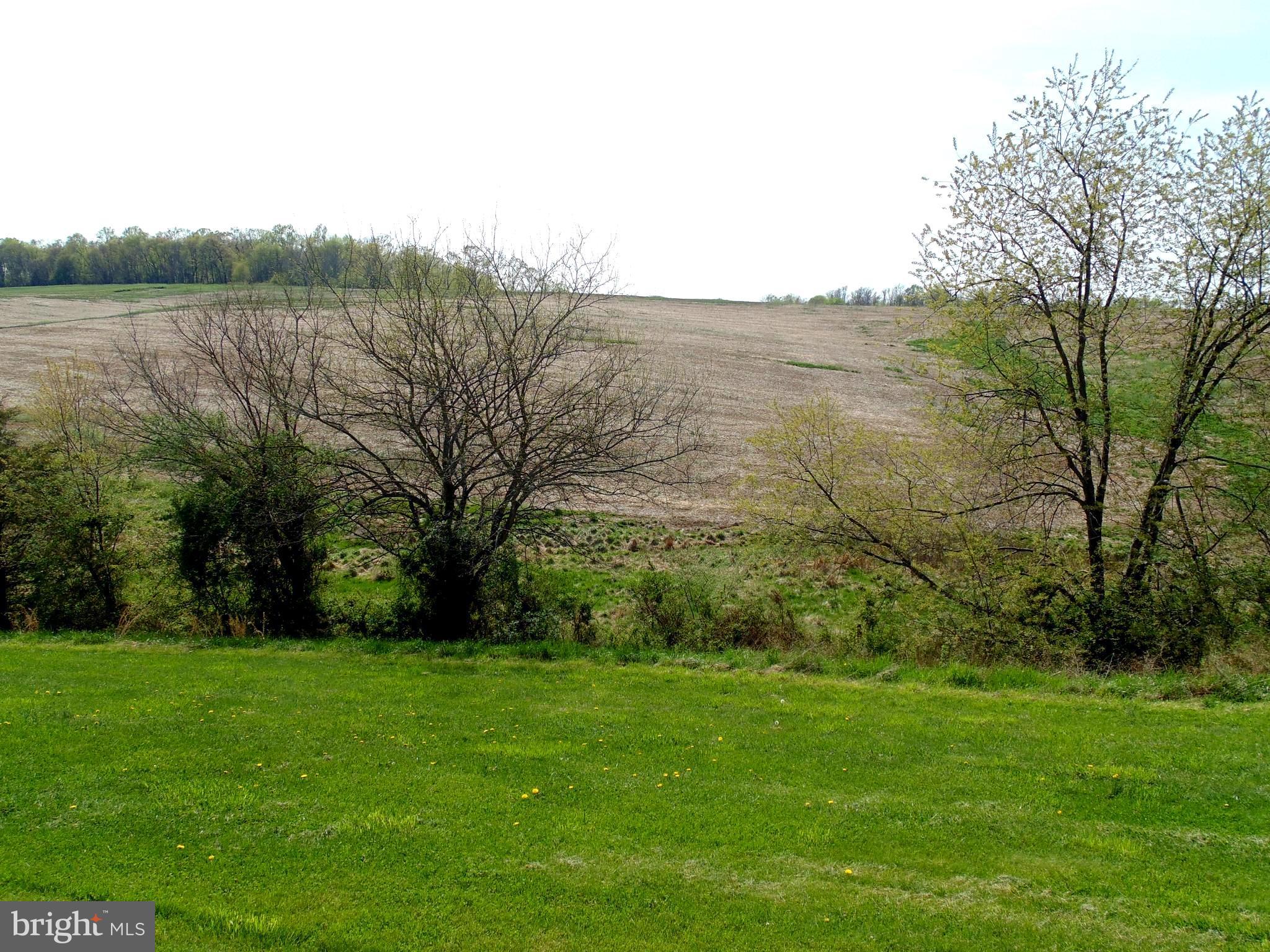4424 Green Valley Road Monrovia, MD 21770 - Photo 27 of 27 View from the back yard