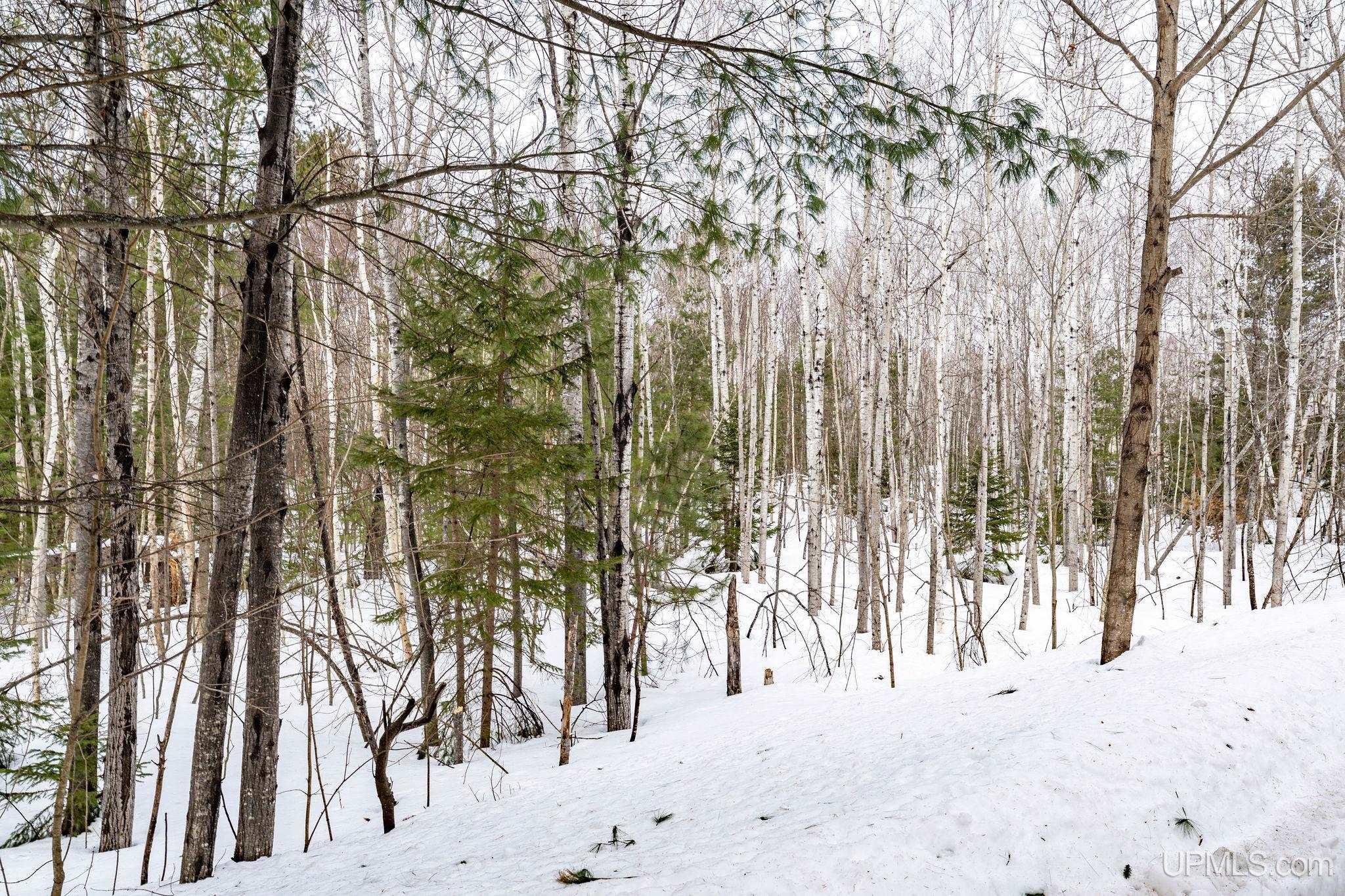Tbd South Willow Road Marquette, MI 49855 - Photo 7 of 10