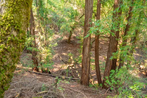 $99,000 | 10608 Canyon Road, Forestville, CA 95436