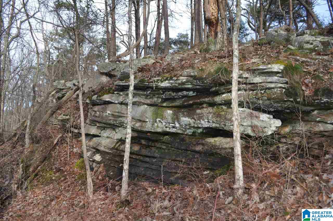 89 North County Road Mentone, AL 35984 - Photo 17 of 18