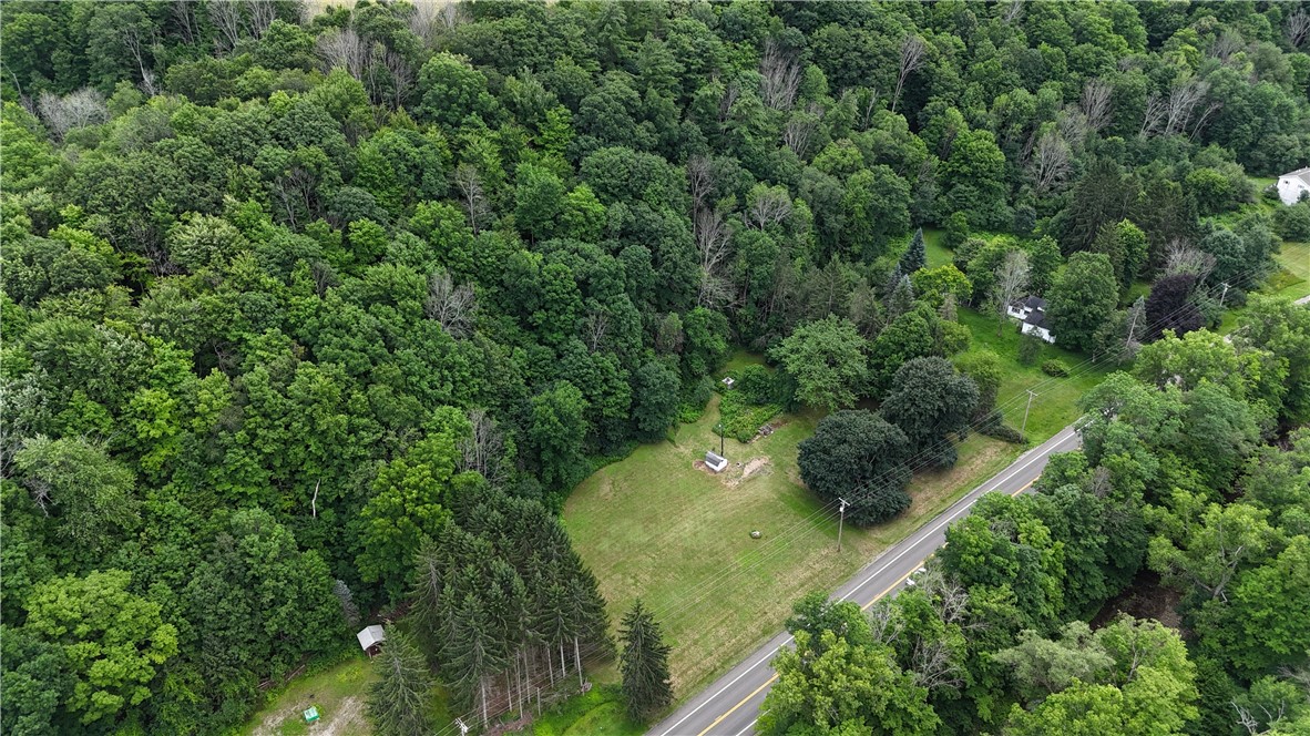 5982 State Rte 21 Alfred, NY 14803 - Photo 3 of 4 Gallery Image 3