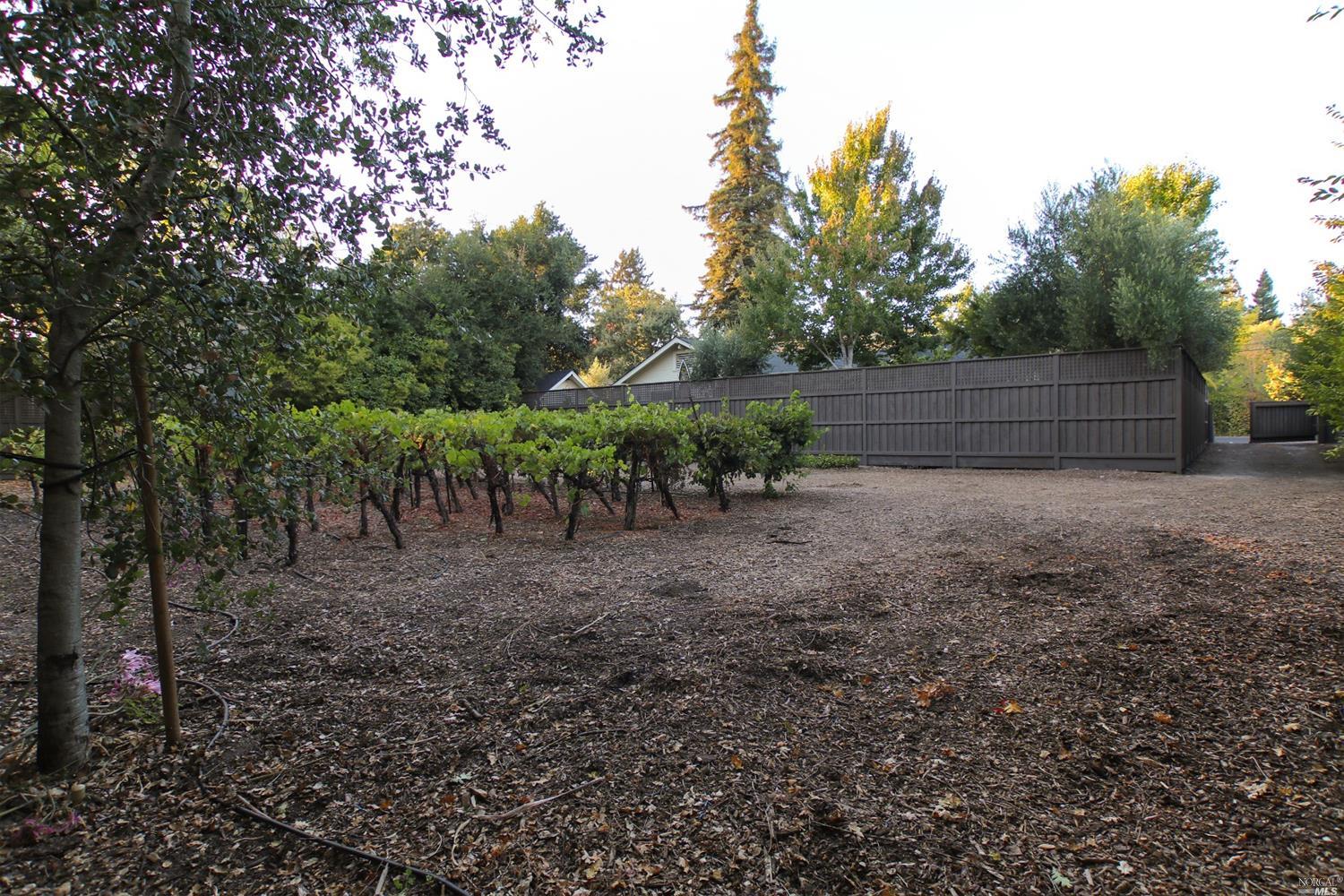 315 East MacArthur Street, Sonoma, CA 95476 Compass