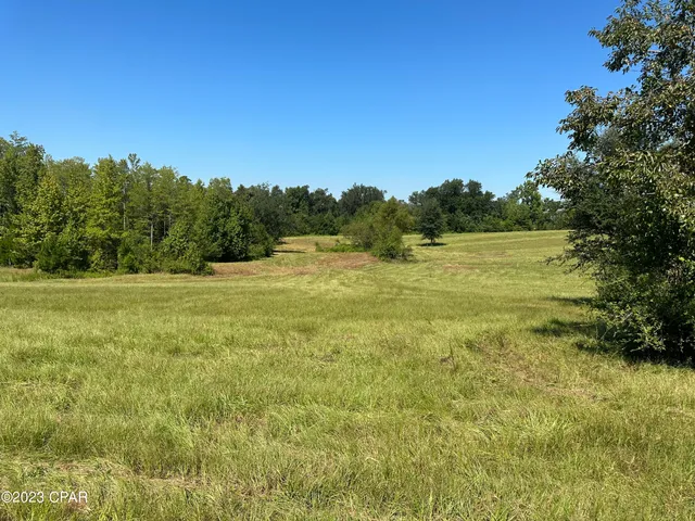 $270,000 | 3622 Cypress Tree Lane, Marianna, FL 32448