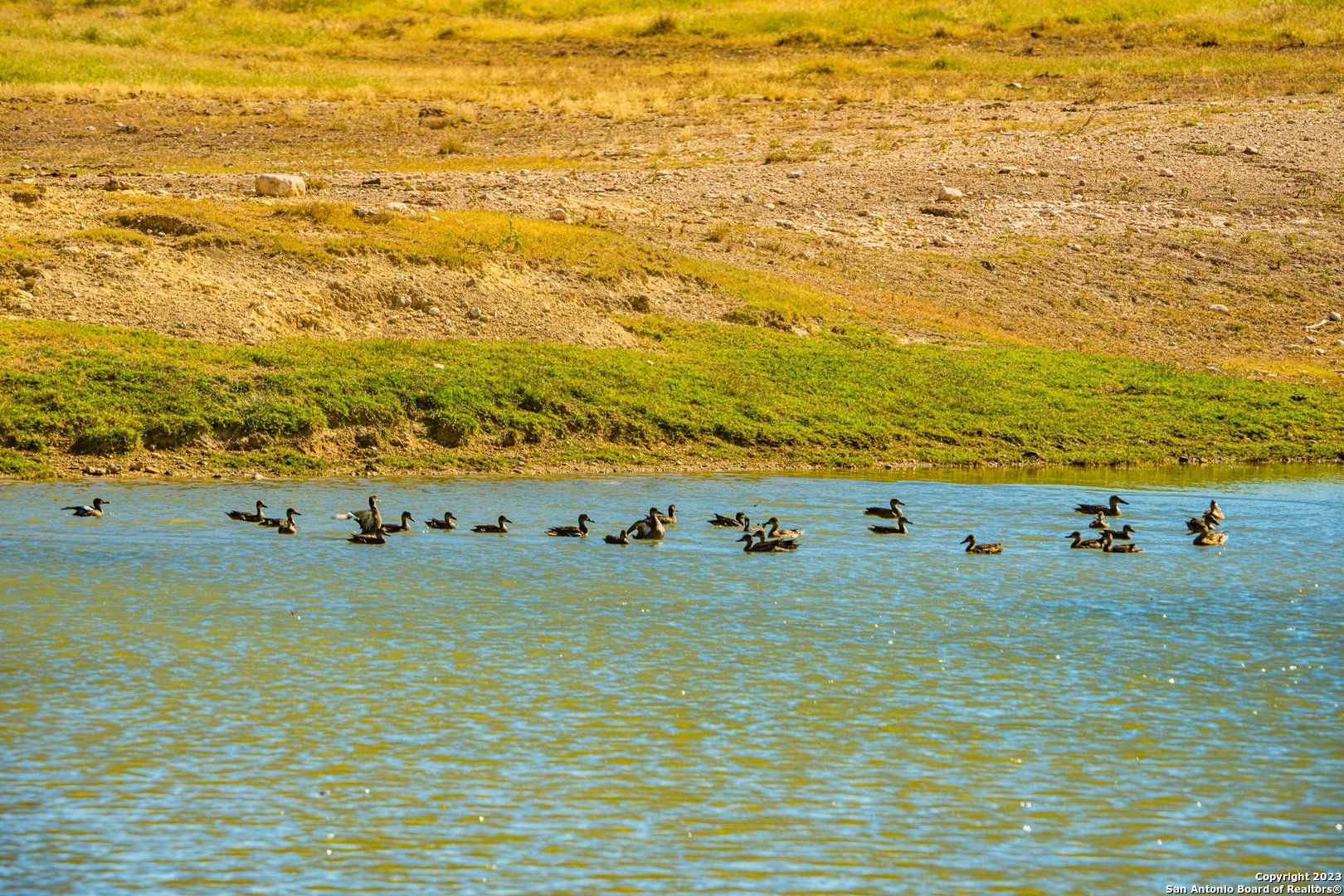 0 Scr 314 Rocksprings, TX 78880 - Photo 12 of 74