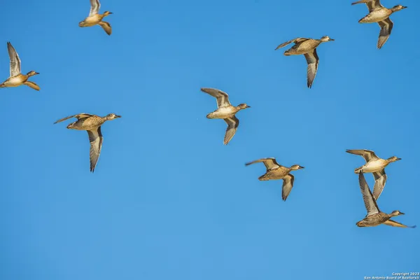 $28,950,000 | 0 Scr 314, Rocksprings, TX 78880