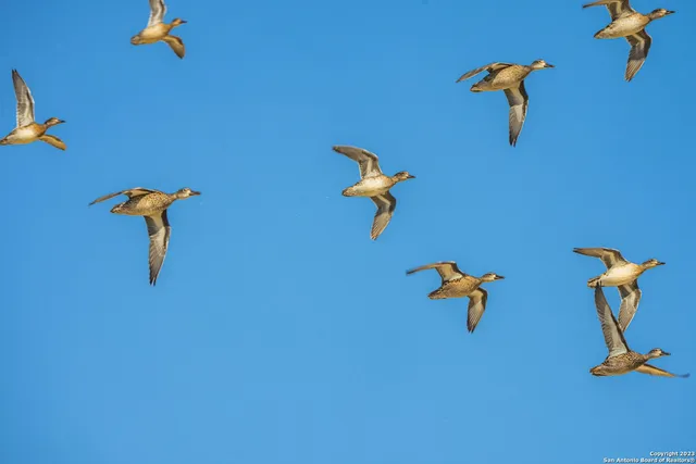 $28,950,000 | 0 Scr 314, Rocksprings, TX 78880