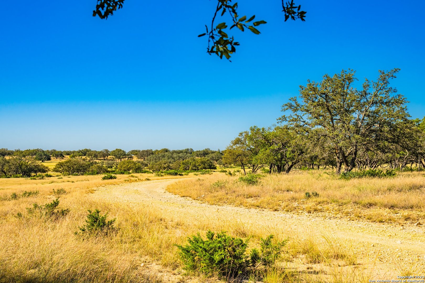 0 Scr 314 Rocksprings, TX 78880 - Photo 43 of 74