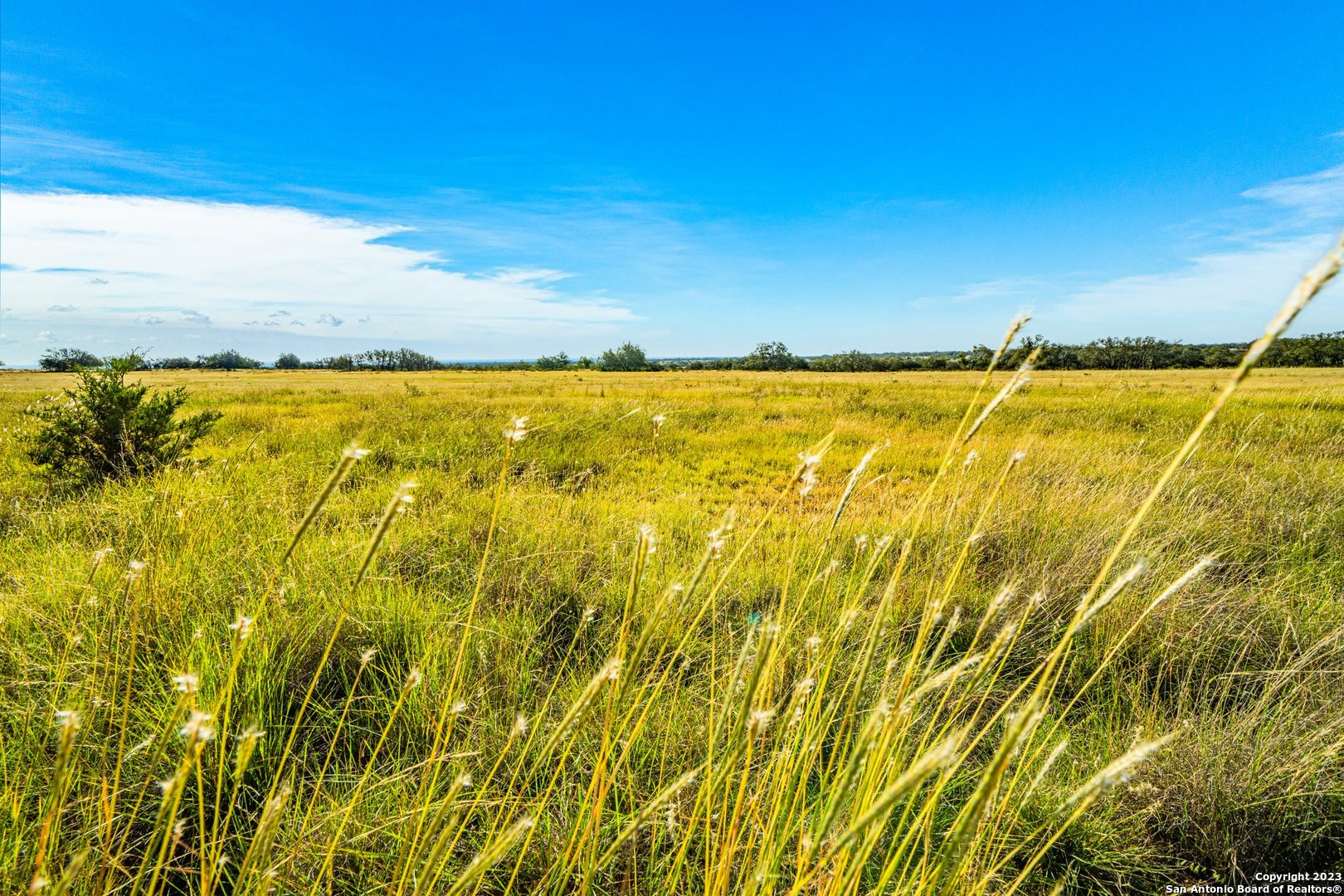 0 Scr 314 Rocksprings, TX 78880 - Photo 48 of 74
