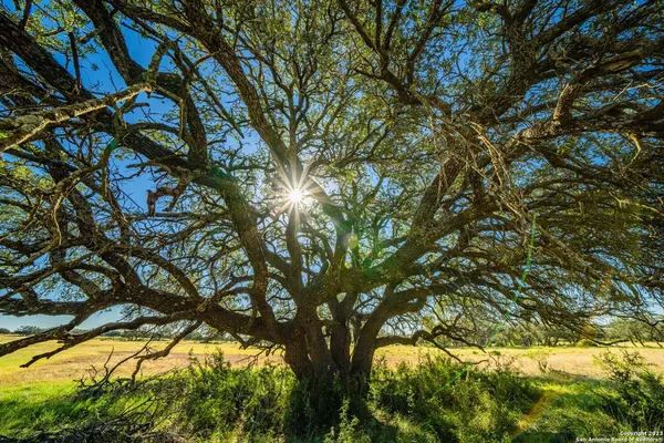 $28,950,000 | 0 Scr 314, Rocksprings, TX 78880