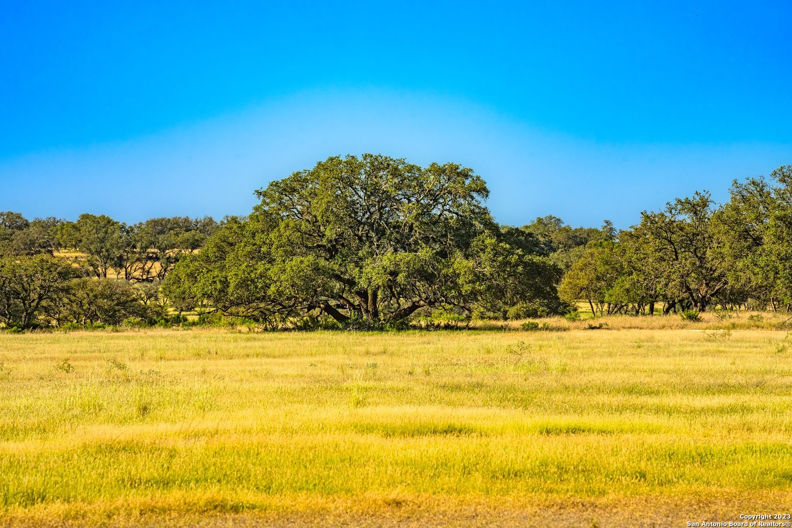 0 Scr 314 Rocksprings, TX 78880 - Photo 56 of 74