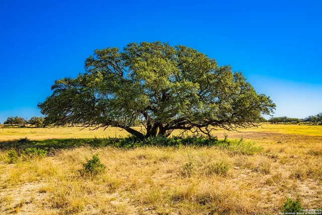 $28,950,000 | 0 Scr 314, Rocksprings, TX 78880