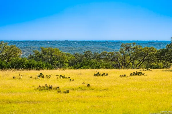 $28,950,000 | 0 Scr 314, Rocksprings, TX 78880