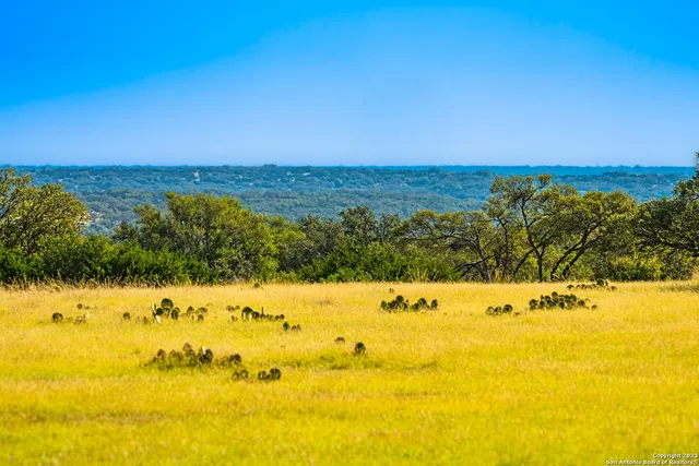 $28,950,000 | 0 Scr 314, Rocksprings, TX 78880