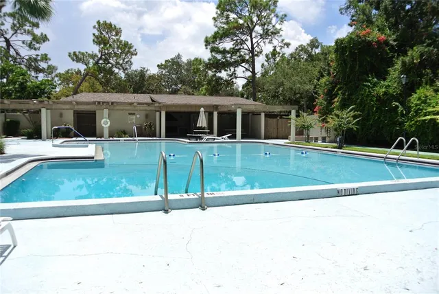 a road view with a garden