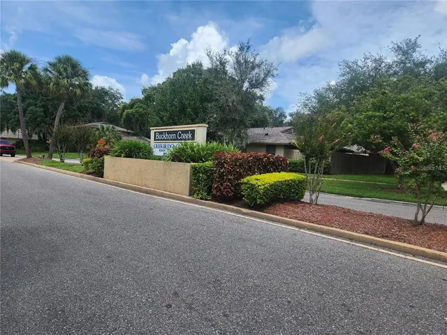 a street view with large trees