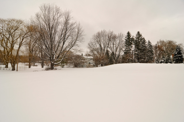 1646 Dunbar Road Inverness, IL 60067 - Photo 1 of 1 a view of snow covered with snow