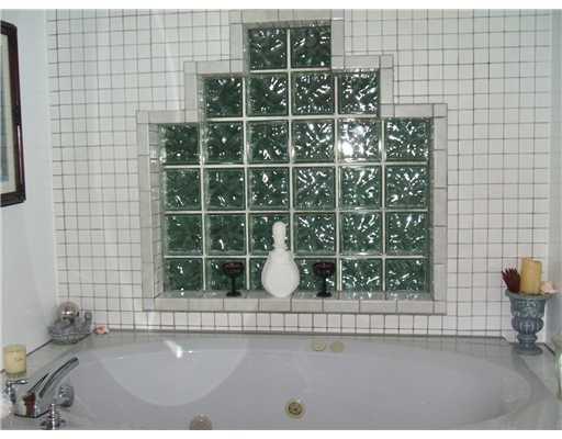 2399 Carter Road Volant, PA 16156 - Photo 9 of 18 Master Bath/Spa.